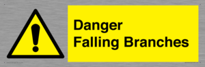 Danger Falling Branches